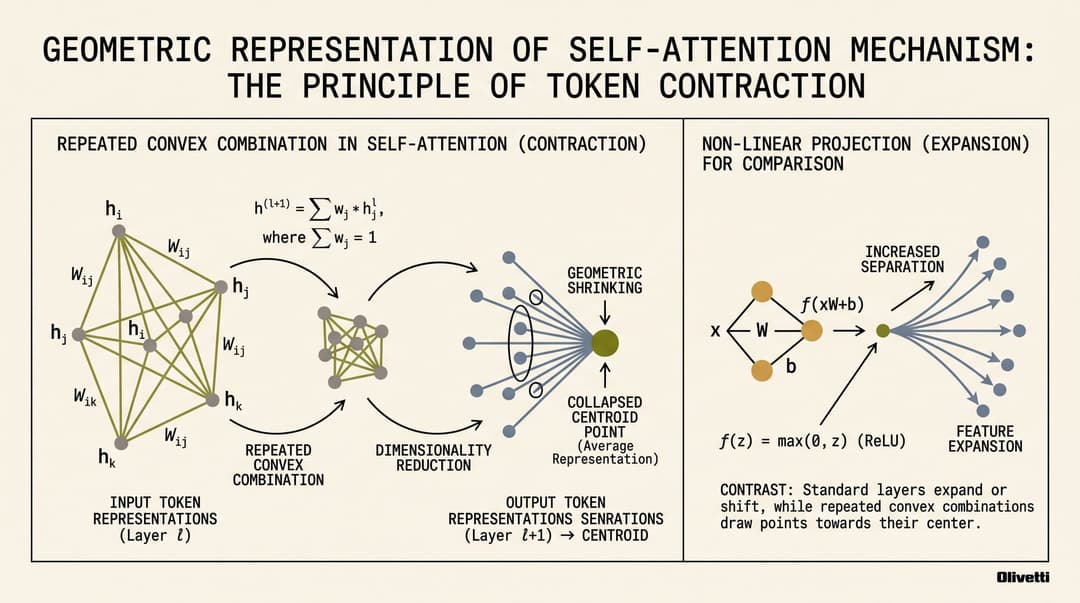 Geometric contraction in self-attention layers