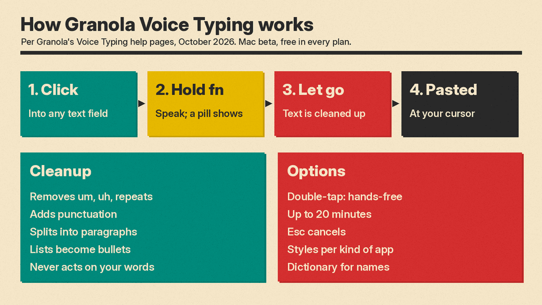 Diagram of Granola Voice Typing: four steps (click into a text field, hold fn and speak, let go, text pasted at the cursor), the cleanup it does (removes um, uh and repeats, adds punctuation, paragraphs and bullets, never acts on your words) and options (double-tap hands-free, up to 20 minutes, Esc cancels, styles, dictionary)