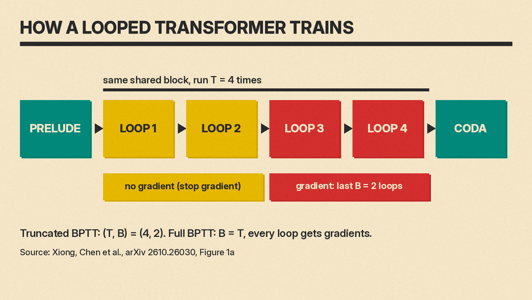 Diagram of a looped transformer: prelude, four runs of one shared block, then coda. Loops 1 and 2 have no gradient; loops 3 and 4 get gradients.