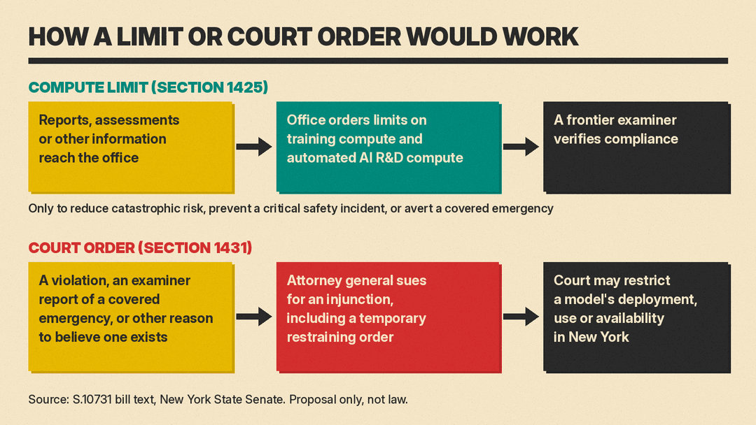 Two flows from S.10731: a Section 1425 compute limit order and a Section 1431 court order
